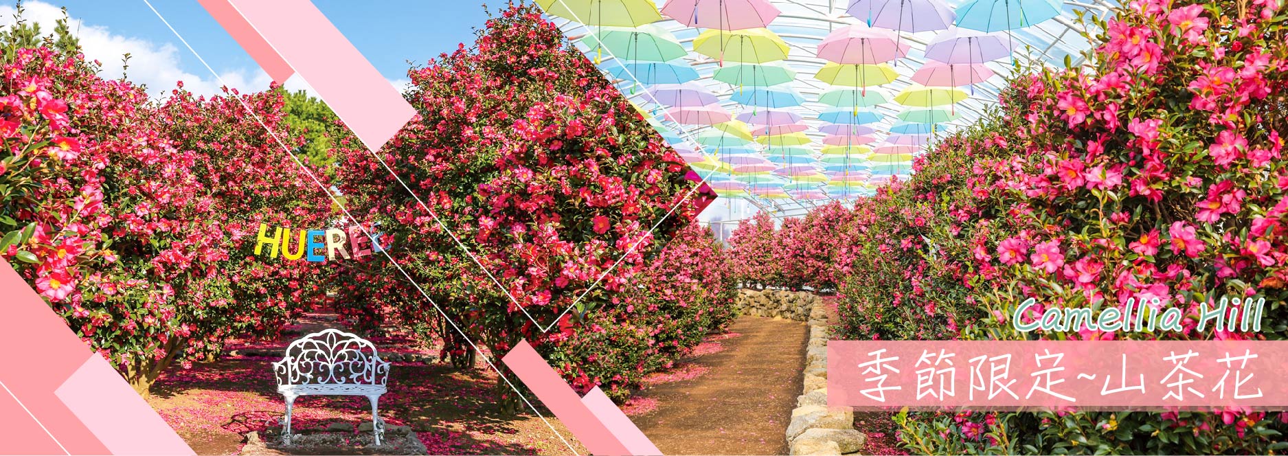 【SEO 圖片說明】